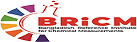 BRiCM Logo